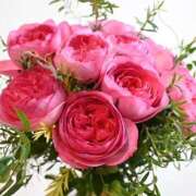 ヒメ日記 2025/04/07 18:31 投稿 いずみ♡M気強めのおっとり熟女♡ 富山高岡ちゃんこ