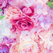 ヒメ日記 2025/04/09 10:12 投稿 いずみ♡M気強めのおっとり熟女♡ 富山高岡ちゃんこ