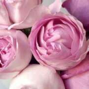 ヒメ日記 2025/04/09 11:12 投稿 いずみ♡M気強めのおっとり熟女♡ 富山高岡ちゃんこ