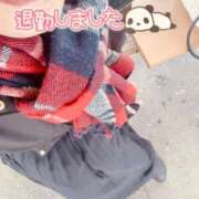 ヒメ日記 2025/04/10 16:37 投稿 いずみ♡M気強めのおっとり熟女♡ 富山高岡ちゃんこ