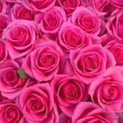 ヒメ日記 2025/04/11 08:45 投稿 いずみ♡M気強めのおっとり熟女♡ 富山高岡ちゃんこ