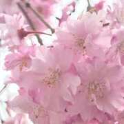 ヒメ日記 2025/04/18 18:21 投稿 いずみ♡M気強めのおっとり熟女♡ 富山高岡ちゃんこ