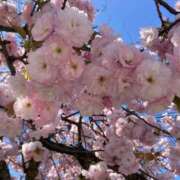 ヒメ日記 2025/04/19 07:40 投稿 いずみ♡M気強めのおっとり熟女♡ 富山高岡ちゃんこ