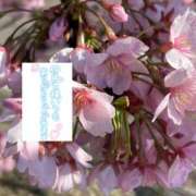 ヒメ日記 2025/04/19 19:43 投稿 いずみ♡M気強めのおっとり熟女♡ 富山高岡ちゃんこ