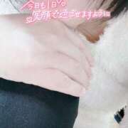 ヒメ日記 2025/04/20 08:23 投稿 いずみ♡M気強めのおっとり熟女♡ 富山高岡ちゃんこ