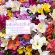 ヒメ日記 2025/04/20 17:50 投稿 いずみ♡M気強めのおっとり熟女♡ 富山高岡ちゃんこ