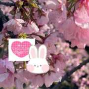 ヒメ日記 2025/04/25 18:25 投稿 いずみ♡M気強めのおっとり熟女♡ 富山高岡ちゃんこ