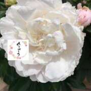 ヒメ日記 2025/04/29 18:05 投稿 いずみ♡M気強めのおっとり熟女♡ 富山高岡ちゃんこ