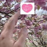 ヒメ日記 2025/04/30 18:04 投稿 いずみ♡M気強めのおっとり熟女♡ 富山高岡ちゃんこ