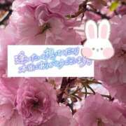 ヒメ日記 2025/05/01 09:30 投稿 いずみ♡M気強めのおっとり熟女♡ 富山高岡ちゃんこ