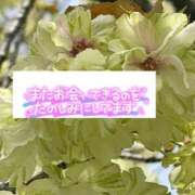 ヒメ日記 2025/05/01 10:45 投稿 いずみ♡M気強めのおっとり熟女♡ 富山高岡ちゃんこ