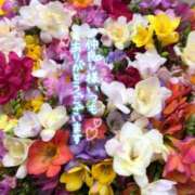 ヒメ日記 2025/05/03 21:10 投稿 いずみ♡M気強めのおっとり熟女♡ 富山高岡ちゃんこ