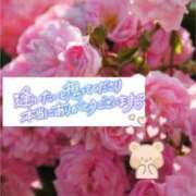 ヒメ日記 2025/05/10 07:45 投稿 いずみ♡M気強めのおっとり熟女♡ 富山高岡ちゃんこ