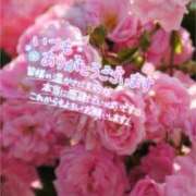 ヒメ日記 2025/05/11 19:51 投稿 いずみ♡M気強めのおっとり熟女♡ 富山高岡ちゃんこ