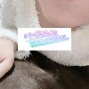 ヒメ日記 2025/05/19 05:35 投稿 いずみ♡M気強めのおっとり熟女♡ 富山高岡ちゃんこ