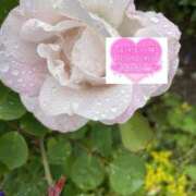 ヒメ日記 2025/05/22 18:03 投稿 いずみ♡M気強めのおっとり熟女♡ 富山高岡ちゃんこ