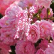 ヒメ日記 2025/05/29 07:50 投稿 いずみ♡M気強めのおっとり熟女♡ 富山高岡ちゃんこ