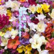 ヒメ日記 2025/05/30 11:08 投稿 いずみ♡M気強めのおっとり熟女♡ 富山高岡ちゃんこ