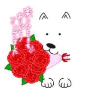 ヒメ日記 2025/06/06 07:31 投稿 いずみ♡M気強めのおっとり熟女♡ 富山高岡ちゃんこ