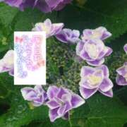 ヒメ日記 2025/06/10 11:32 投稿 いずみ♡M気強めのおっとり熟女♡ 富山高岡ちゃんこ