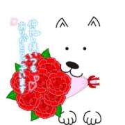 ヒメ日記 2025/06/12 09:50 投稿 いずみ♡M気強めのおっとり熟女♡ 富山高岡ちゃんこ