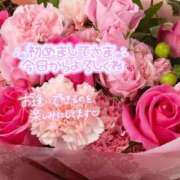 ヒメ日記 2025/06/16 14:21 投稿 いずみ♡M気強めのおっとり熟女♡ 富山高岡ちゃんこ