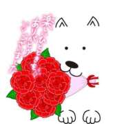 ヒメ日記 2025/06/18 08:40 投稿 いずみ♡M気強めのおっとり熟女♡ 富山高岡ちゃんこ