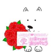 ヒメ日記 2025/06/23 11:13 投稿 いずみ♡M気強めのおっとり熟女♡ 富山高岡ちゃんこ