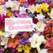 ヒメ日記 2025/06/24 12:09 投稿 いずみ♡M気強めのおっとり熟女♡ 富山高岡ちゃんこ