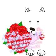 ヒメ日記 2025/06/27 06:41 投稿 いずみ♡M気強めのおっとり熟女♡ 富山高岡ちゃんこ