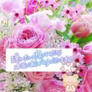 ヒメ日記 2025/07/01 08:45 投稿 いずみ♡M気強めのおっとり熟女♡ 富山高岡ちゃんこ