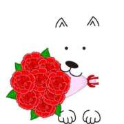 ヒメ日記 2025/07/01 18:16 投稿 いずみ♡M気強めのおっとり熟女♡ 富山高岡ちゃんこ