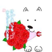 ヒメ日記 2025/07/01 19:15 投稿 いずみ♡M気強めのおっとり熟女♡ 富山高岡ちゃんこ