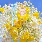 ヒメ日記 2025/07/05 07:35 投稿 いずみ♡M気強めのおっとり熟女♡ 富山高岡ちゃんこ