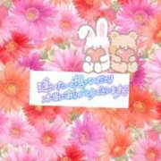 ヒメ日記 2025/07/05 08:31 投稿 いずみ♡M気強めのおっとり熟女♡ 富山高岡ちゃんこ