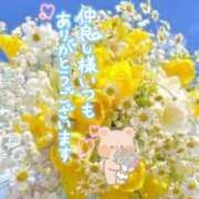 ヒメ日記 2025/07/06 10:54 投稿 いずみ♡M気強めのおっとり熟女♡ 富山高岡ちゃんこ