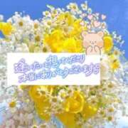 ヒメ日記 2025/07/09 09:35 投稿 いずみ♡M気強めのおっとり熟女♡ 富山高岡ちゃんこ