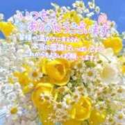 ヒメ日記 2025/07/12 20:45 投稿 いずみ♡M気強めのおっとり熟女♡ 富山高岡ちゃんこ