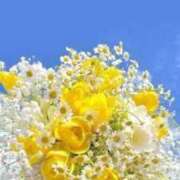 ヒメ日記 2025/07/14 08:10 投稿 いずみ♡M気強めのおっとり熟女♡ 富山高岡ちゃんこ