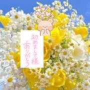 ヒメ日記 2025/07/21 07:41 投稿 いずみ♡M気強めのおっとり熟女♡ 富山高岡ちゃんこ