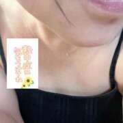 ヒメ日記 2025/07/23 13:02 投稿 いずみ♡M気強めのおっとり熟女♡ 富山高岡ちゃんこ