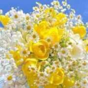 ヒメ日記 2025/07/29 08:46 投稿 いずみ♡M気強めのおっとり熟女♡ 富山高岡ちゃんこ