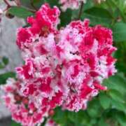 ヒメ日記 2025/08/26 18:45 投稿 いずみ♡M気強めのおっとり熟女♡ 富山高岡ちゃんこ