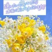 ヒメ日記 2025/09/02 08:45 投稿 いずみ♡M気強めのおっとり熟女♡ 富山高岡ちゃんこ