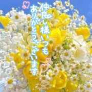 ヒメ日記 2025/09/08 08:45 投稿 いずみ♡M気強めのおっとり熟女♡ 富山高岡ちゃんこ