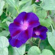 ヒメ日記 2025/09/09 13:07 投稿 いずみ♡M気強めのおっとり熟女♡ 富山高岡ちゃんこ