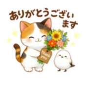 ヒメ日記 2025/09/09 19:30 投稿 いずみ♡M気強めのおっとり熟女♡ 富山高岡ちゃんこ