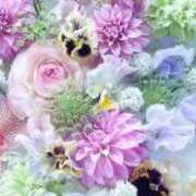 ヒメ日記 2025/09/12 07:45 投稿 いずみ♡M気強めのおっとり熟女♡ 富山高岡ちゃんこ