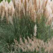 ヒメ日記 2025/09/18 14:23 投稿 いずみ♡M気強めのおっとり熟女♡ 富山高岡ちゃんこ