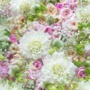 ヒメ日記 2025/10/08 16:52 投稿 いずみ♡M気強めのおっとり熟女♡ 富山高岡ちゃんこ